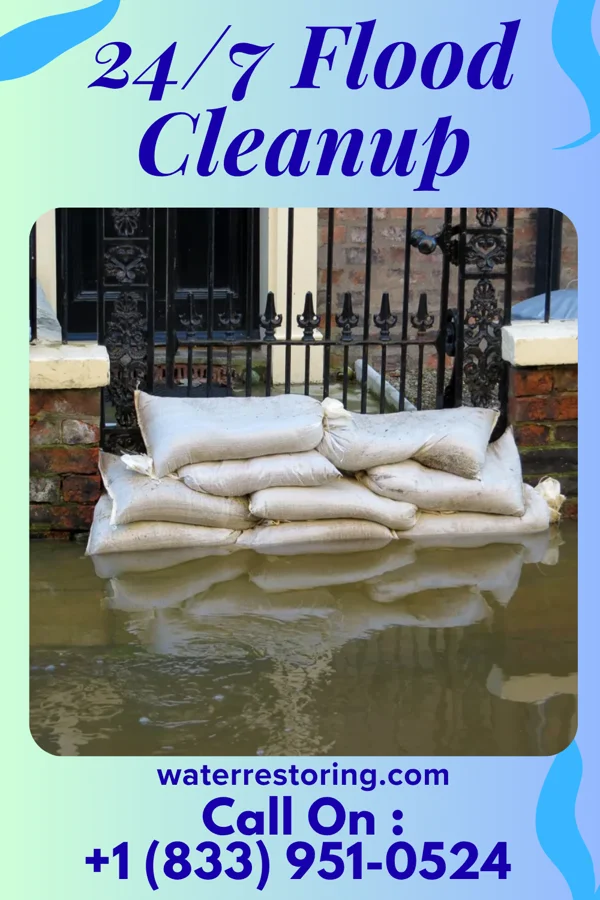 24/7 Flood Cleanup in Junior, WV