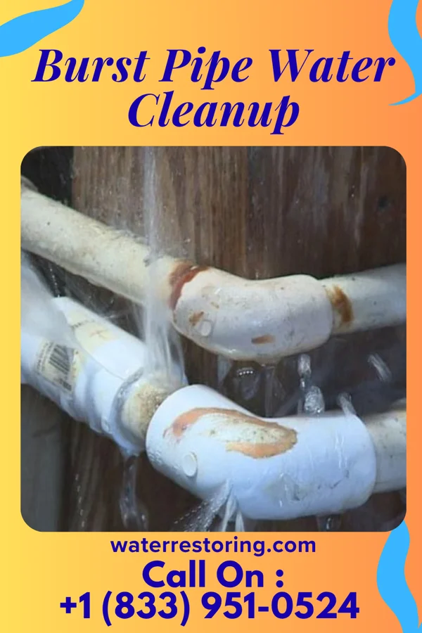 Burst Pipe Water Cleanup in Junior, WV