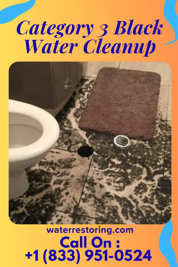 Category 3 Black Water Cleanup in Junior, WV