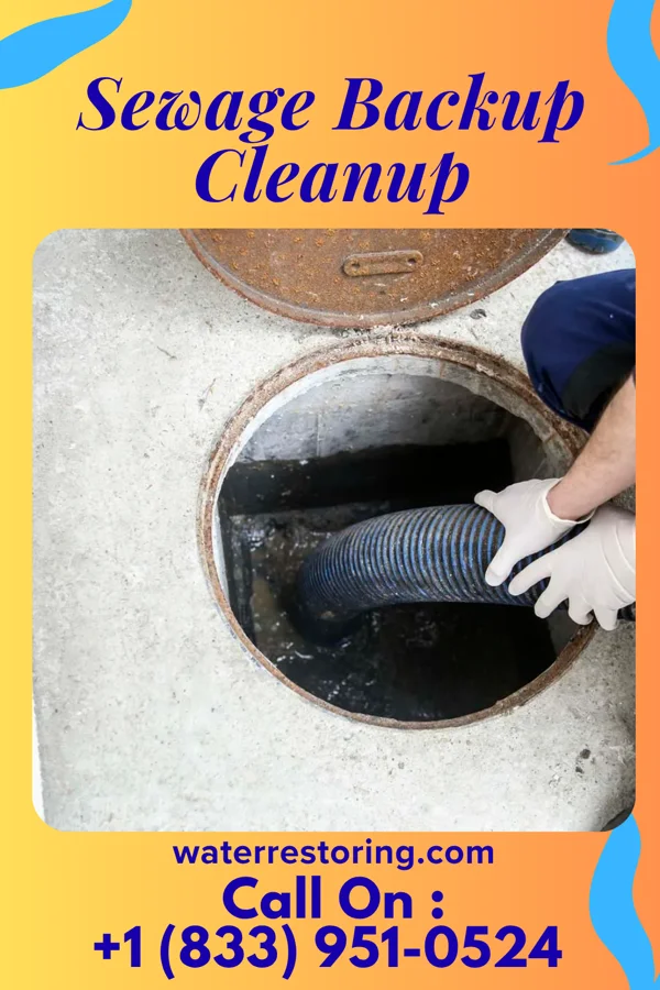 Sewage Backup Cleanup in Junior, WV