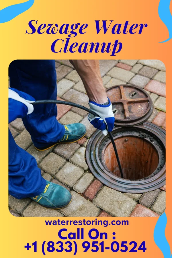 Sewage Water Cleanup in Junior, WV